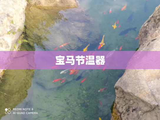 宝马节温器