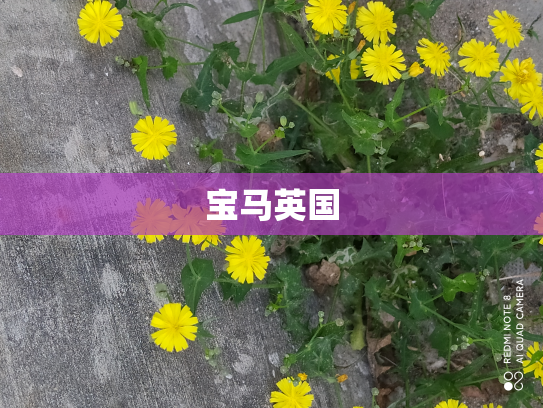 宝马英国