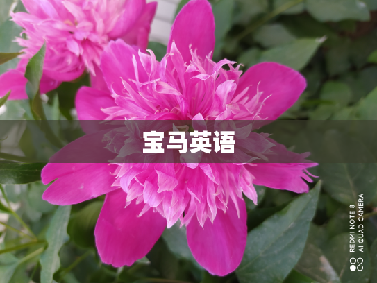 宝马英语