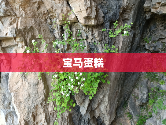 宝马蛋糕