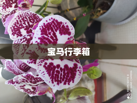 宝马行李箱