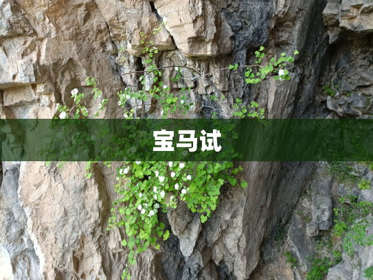 宝马试