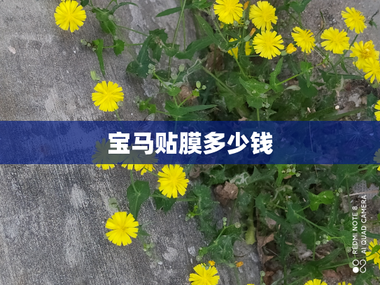 宝马贴膜多少钱