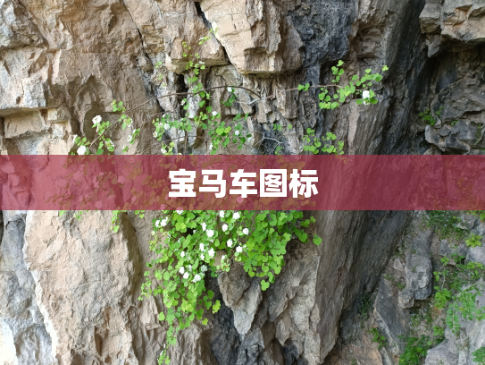 宝马车图标