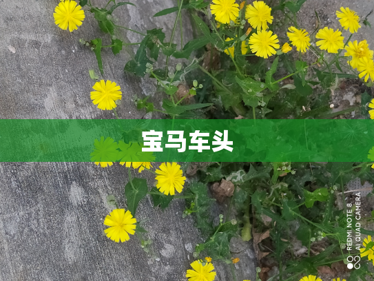宝马车头