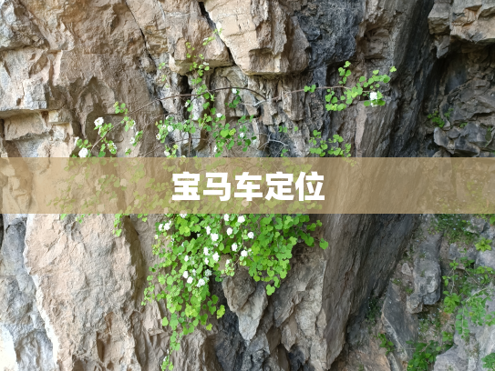 宝马车定位