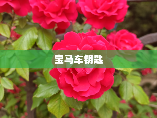 宝马车钥匙