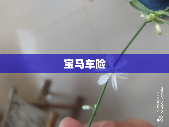 宝马车险