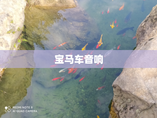 宝马车音响