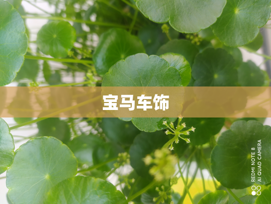 宝马车饰