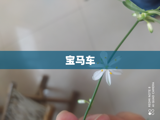宝马车