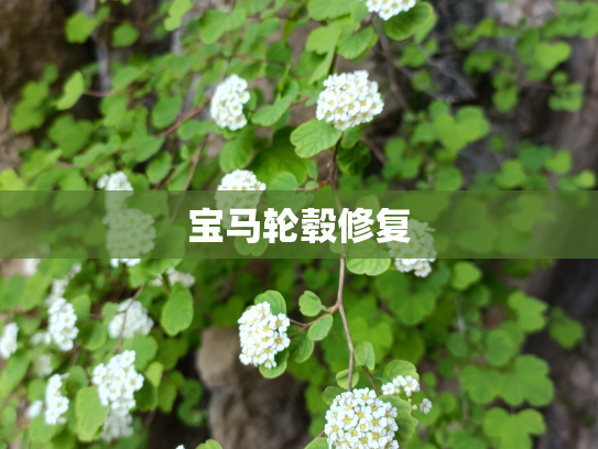 宝马轮毂修复