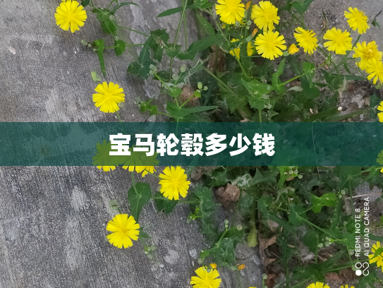 宝马轮毂多少钱