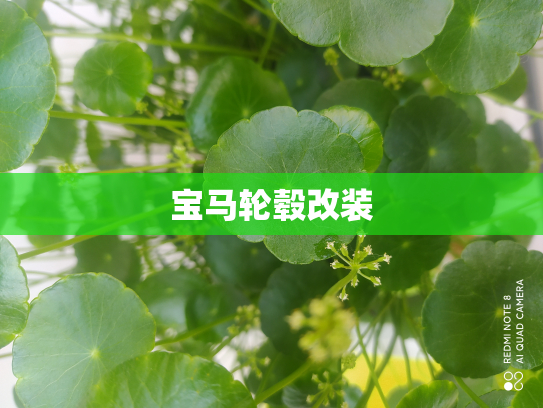 宝马轮毂改装