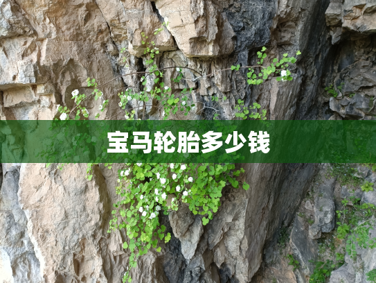 宝马轮胎多少钱