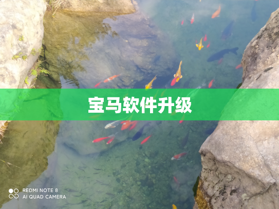 宝马软件升级