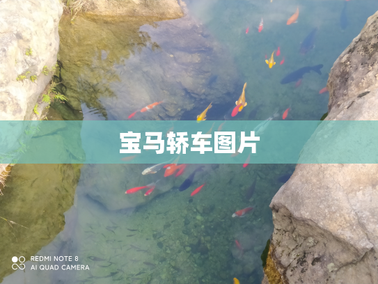 宝马轿车图片