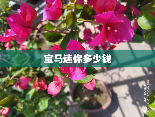 宝马迷你多少钱