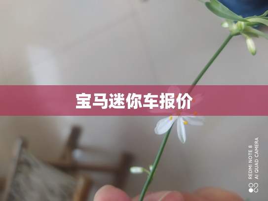宝马迷你车报价