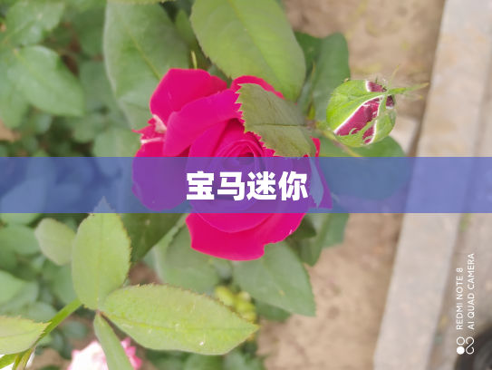 宝马迷你