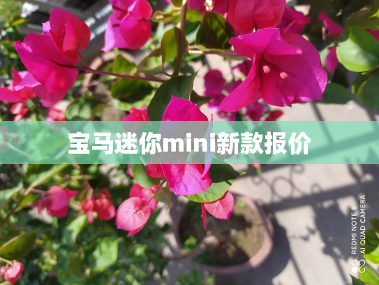 宝马迷你mini新款报价