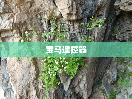 宝马遥控器