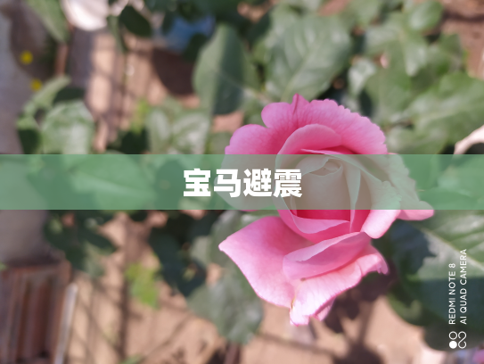 宝马避震
