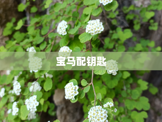 宝马配钥匙