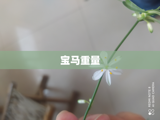 宝马重量