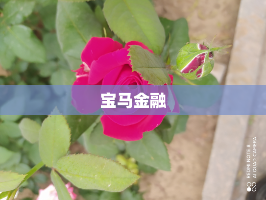 宝马金融