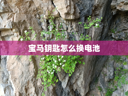 宝马钥匙怎么换电池