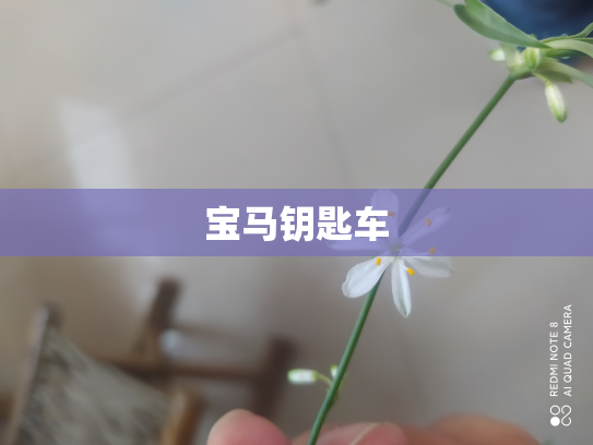 宝马钥匙车