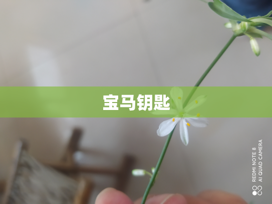 宝马钥匙