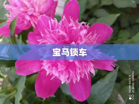 宝马锁车