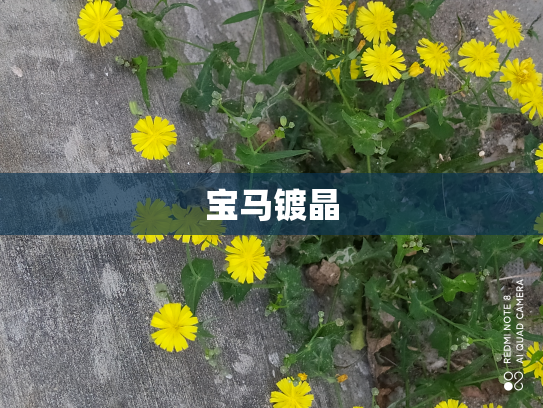 宝马镀晶