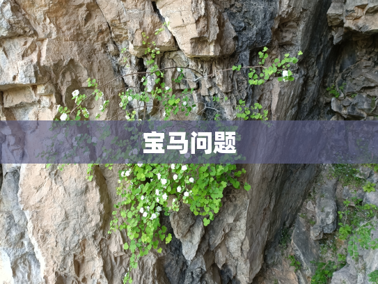宝马问题