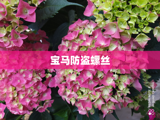 宝马防盗螺丝