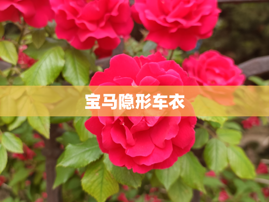 宝马隐形车衣