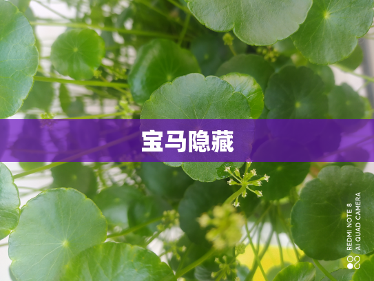 宝马隐藏