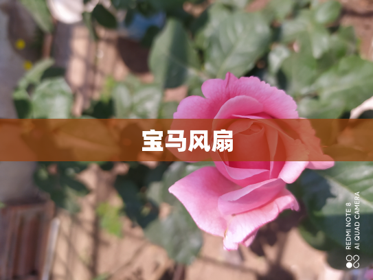 宝马风扇