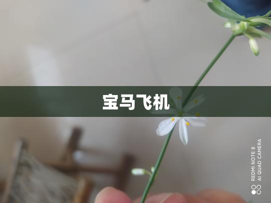 宝马飞机