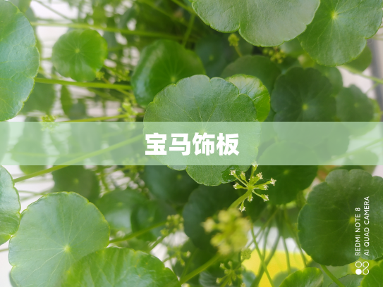 宝马饰板