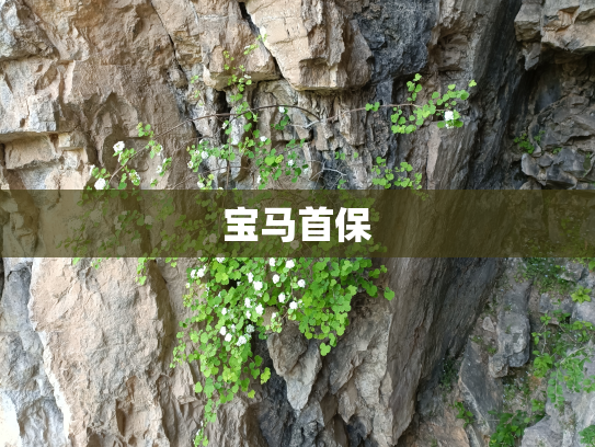 宝马首保
