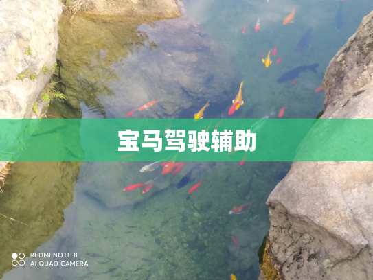 宝马驾驶辅助