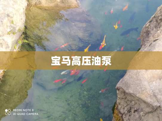宝马高压油泵