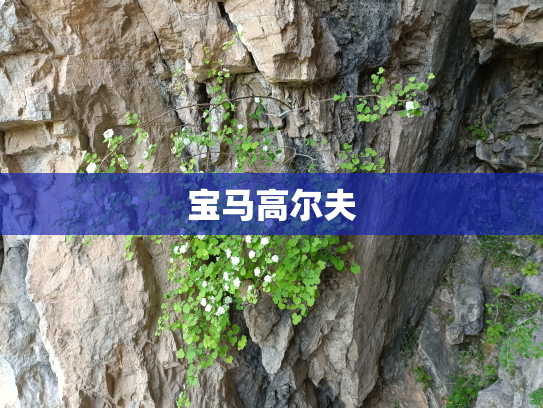 宝马高尔夫