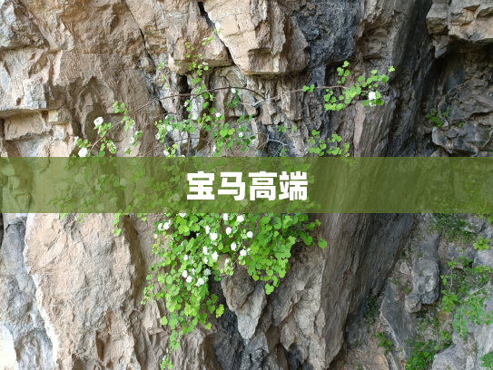 宝马高端