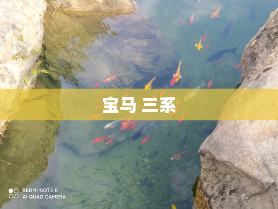 宝马 三系