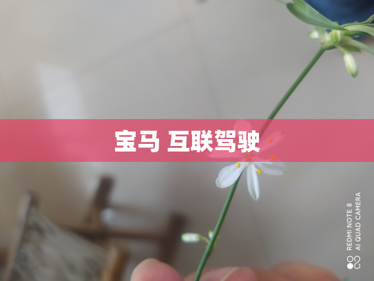 宝马 互联驾驶