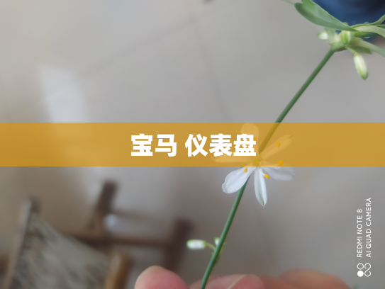 宝马 仪表盘